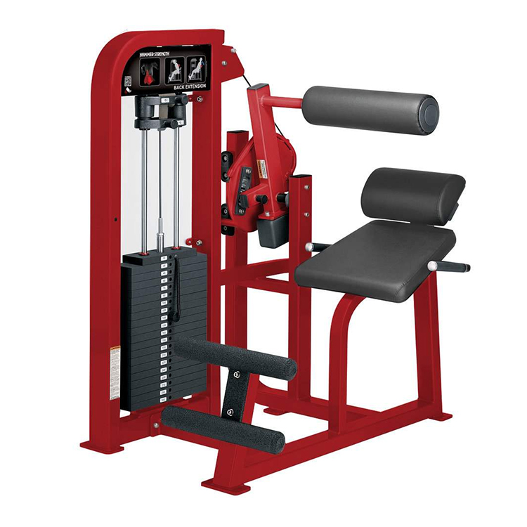 กล้ามเนื้อหลัง